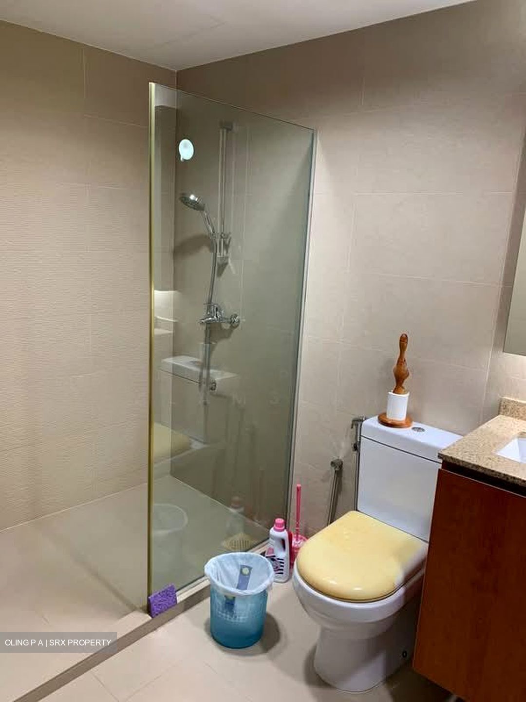 Cairnhill Plaza (D9), Apartment #584423801